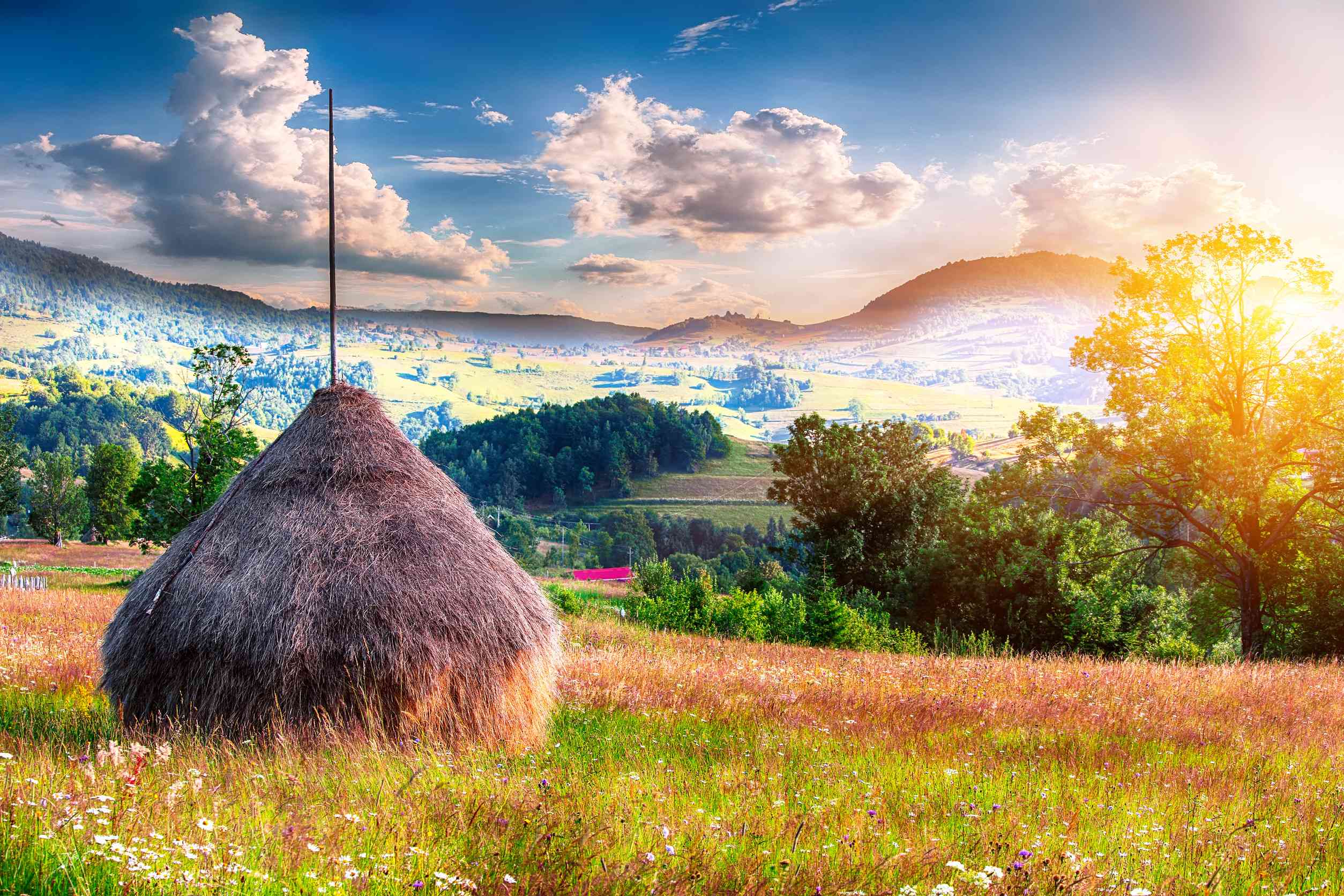 Beautiful Countryside Landscape With Forested Hills And Haystacks On A Grassy
