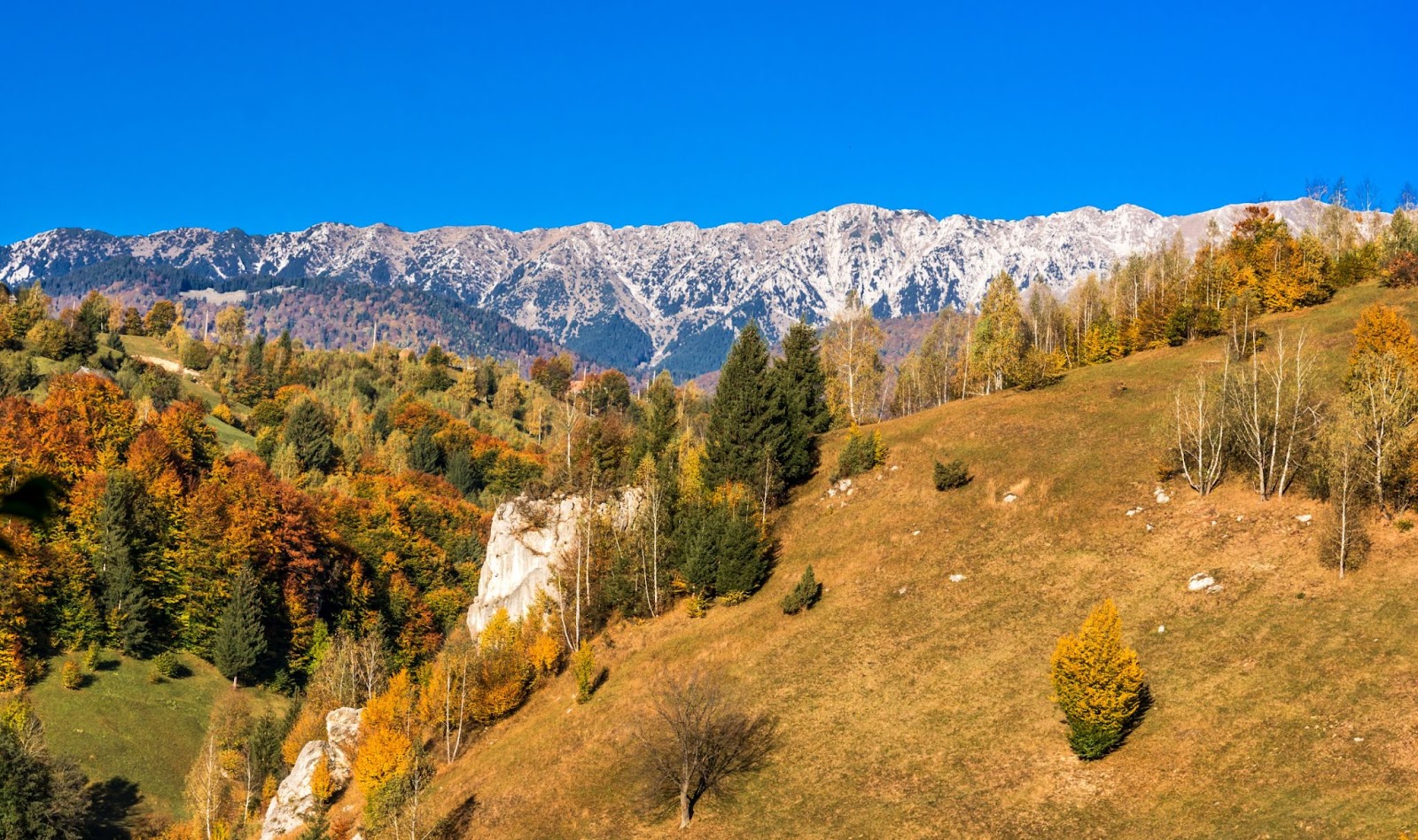 Countryside landscape in a romanian villlage at the food of Piatra Craiului Mountains