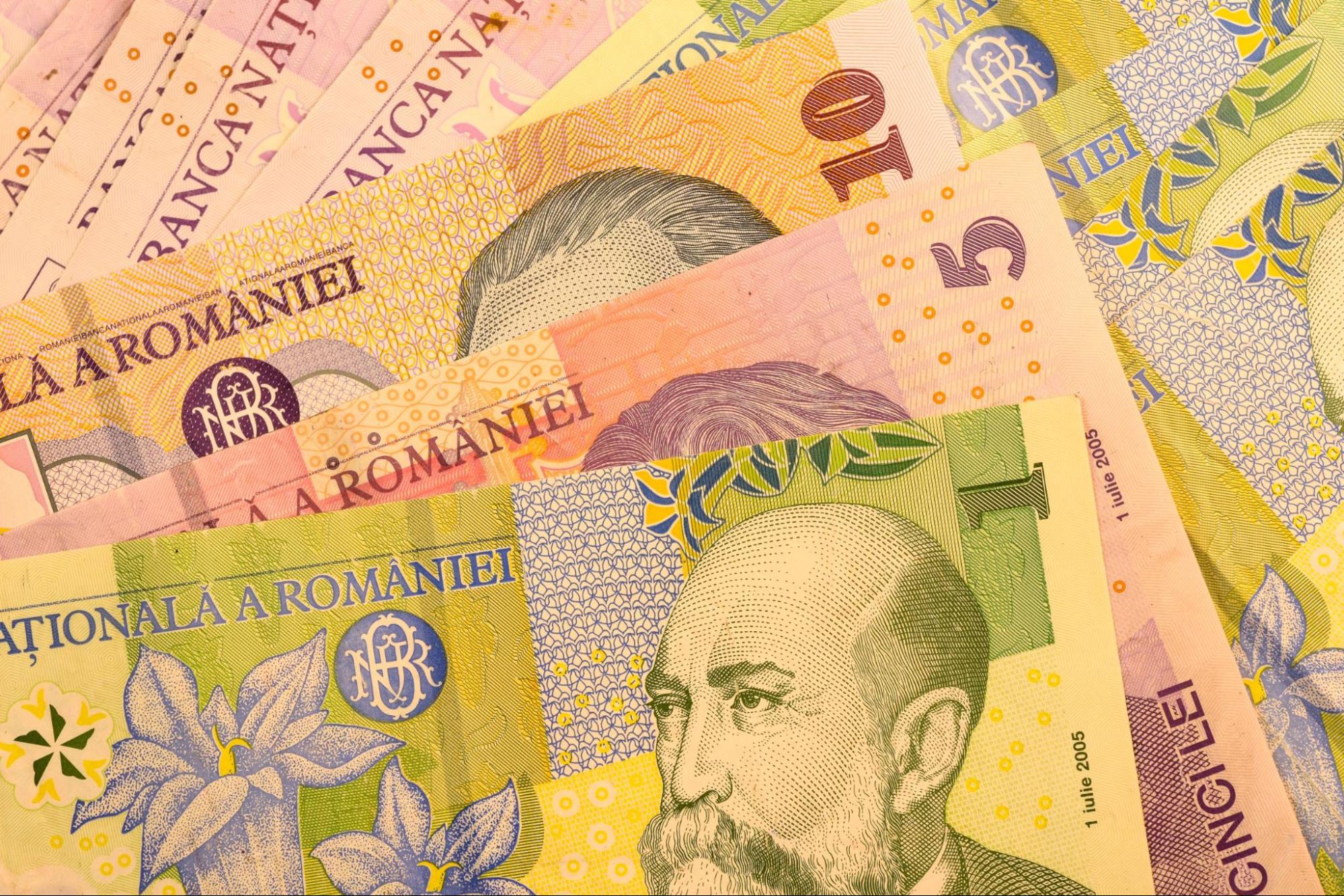 Close up Romanian currency note, LEI or LEU, Romania